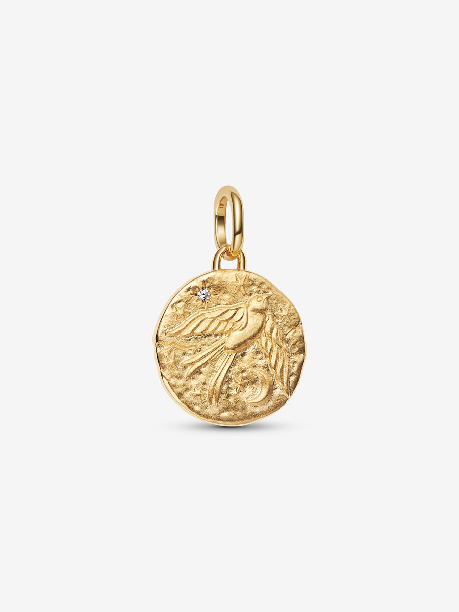 Pandora Charm Medallion Rondine "Dum Vita Est Spes Est"