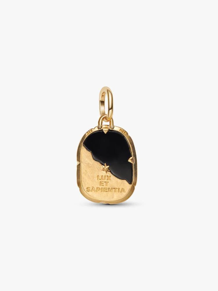 Pandora Charm Medallion Gufo "Lux Et Sapientia"