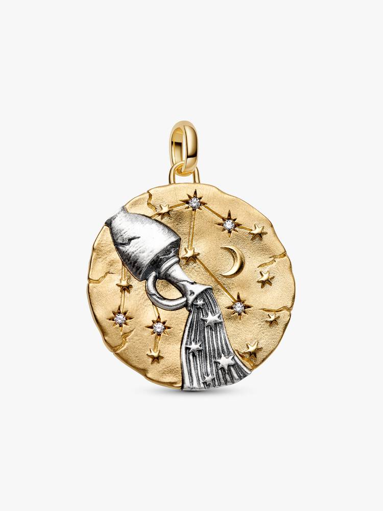 Pandora Charm Medallion XL Acquario "Omnia Mutantur"