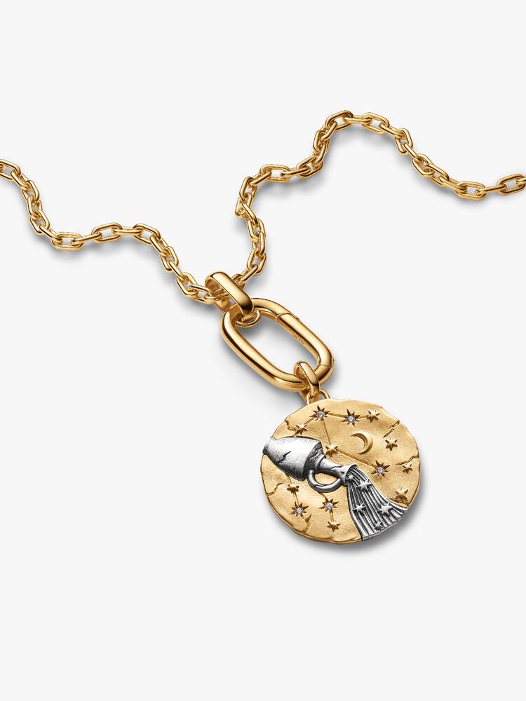 Pandora Charm Medallion XL Acquario "Omnia Mutantur"