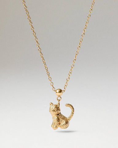 PDPAOLA - Charm Gattino