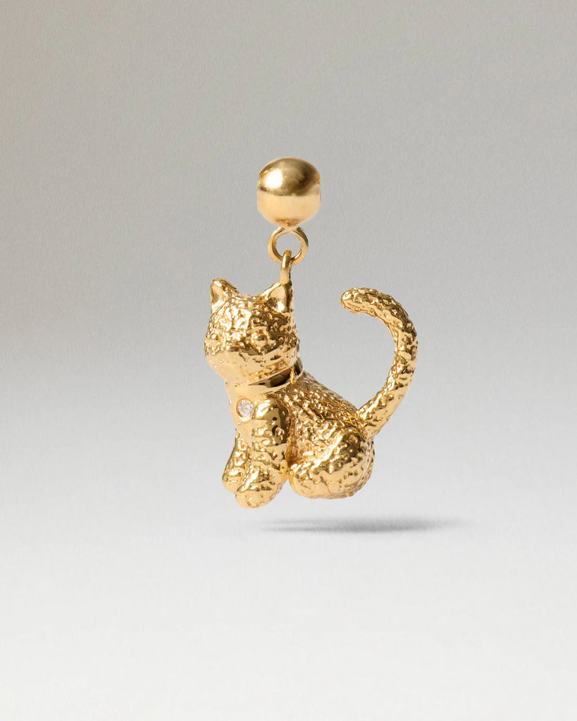 PDPAOLA - Charm Gattino