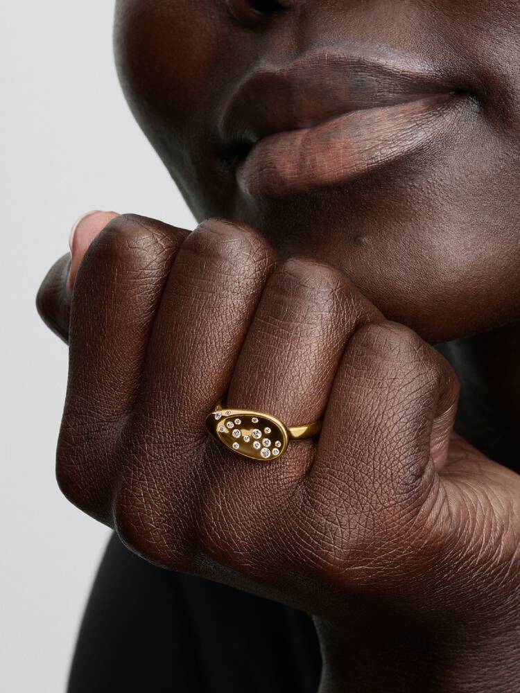 Pandora Anello Sigillo con Pietre Luminose