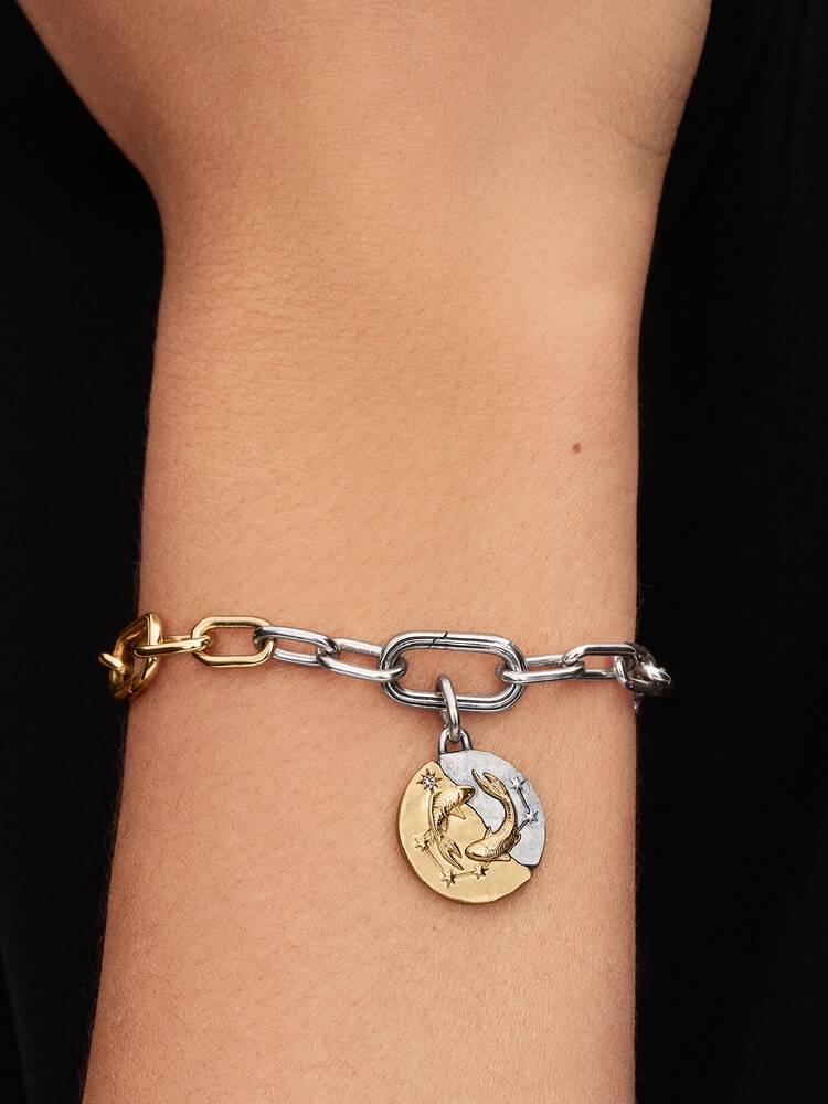 Pandora Charm Medallion Pesci