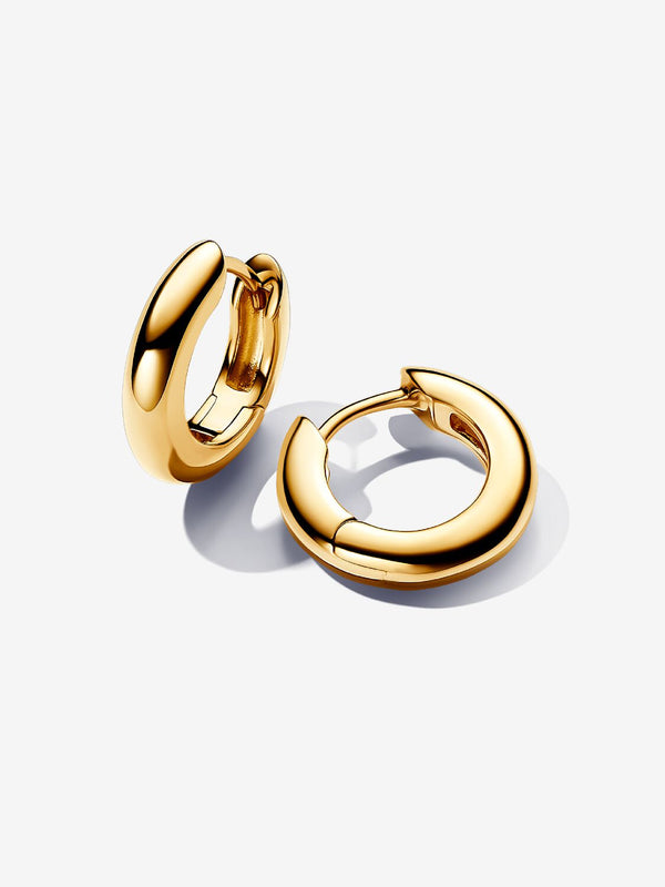 Pandora Orecchini Cerchi