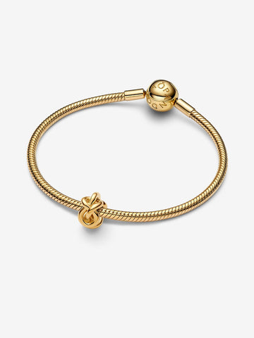 Pandora Charm Nodo d'Amore Eterno