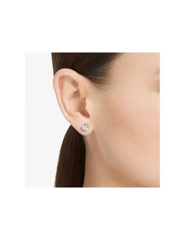 Swarovski Orecchini a lobo Stilla